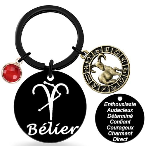 Porte-clés Signe du Zodiaque Métallique- Amateurs d'Astrologie Accessoire Français Élégant- 12...