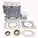 Stihl Br400, Br420, Br320 Replacement Cylinder& Piston Kit, Gasket & Seals 46mm, Replaces Part # 4203-020-1201