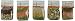 Non-GMO and *Organic Soup Mix Sampler, (Pack of 5)