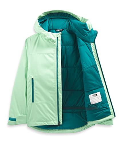 The North Face Jaqueta feminina Freedom Extreme com isolamento térmico, verde pátina, GG
