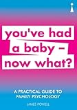 A Practical Guide to Family Psychology: You've had a baby - now what? (Practical Guide Series)