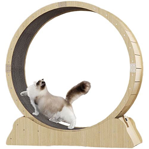 Roue de Chat Exerciseur de Roue pour Chat, Roue de Course pour Chat, Tapis Roulant pour Chat avec Roue Intégrée, Aide Les Chats à Perdre Du Poids Ou à le Maintenir ( Color : Treadmill , Size : XL ) Cover