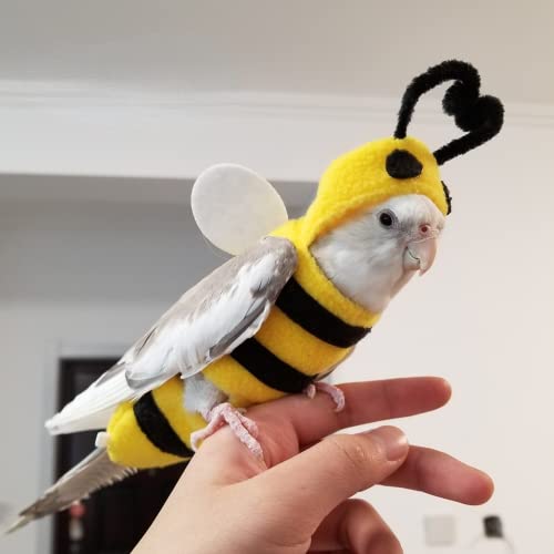 Image of Bird Costume Diaper Flight Suit Bee Shape Hoodie Clothes Cosplay Photo Prop for Parrots Parakeet Cockatiel Sun Conure, Small Animals Apparel (Bee with Diaper, Small), Green (BPF1)