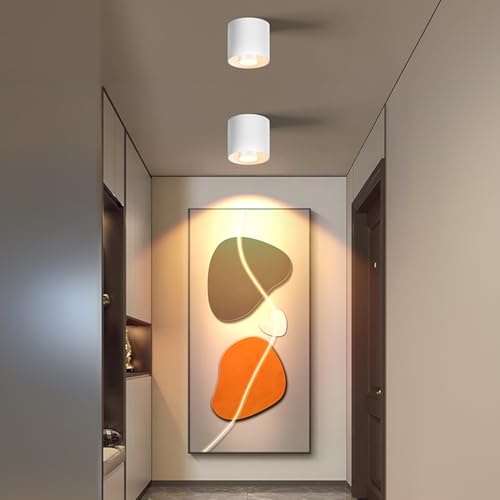 Image of 3-Color&Watt Zoomable Ceiling Spotlight Fixtures, Flush Mount Ceiling Light Fixture Dimmable LED Spot Lights Indoor, 4.72 inch Cylinder Light for Hallway Kitchen Entryway, 30W White 2 Pack