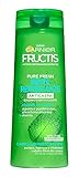 Para cabello graso con caspa Garnier Fructis Champú Pure Fresh Menta Refrescante - 360 ml