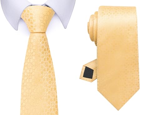Image of Passabin Tie For Men Necktie Woven Jacquard Neck Ties Set 6 PCS