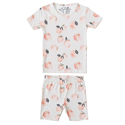 Copper Pearl Two Piece Short Sleeve Toddler Pajamas PJ Sets for Boys and Girls - Adorable Pattern Summer Pajamas Shorts to Keep Cool While Sleeping, Size 12 Months to 5T - Caroline