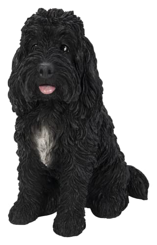 Vivid Arts (Black Cockapoo Sitting