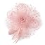 Lotus Pink