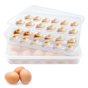 2 Pack Deviled Egg Trays,Stackable Plastic Egg Holder for 48 Eggs,Clear Egg Storage Containers for Fridge,Keep Fresh,Easter,Thanksgiving Day Party Kitchen Supplies