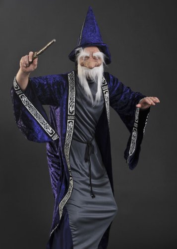 Struts Fancy Dress Disfraz de Mago Estilo Adulto Dumbledore