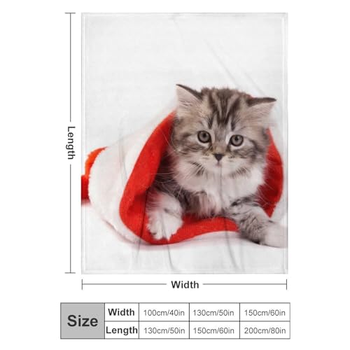 Couverture polaire chat de Noël, l'idée cadeau idéale pour lit et salon - 3