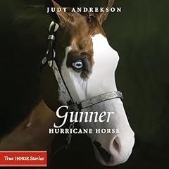 Gunner Audiolibro Por Judy Andrekson arte de portada