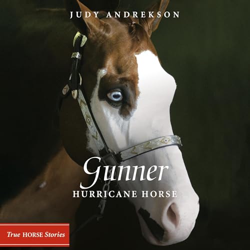 Gunner by Judy Andrekson episode artwork