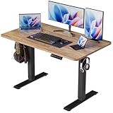BIZUM 40x24 Inch Electric Standing Desk with Memory Presets, Quiet Motor Height Adjustable Stand Up Desk for Home Office & Gaming, Ergonomic Sit Stand Workstation，Light Rustic Brown