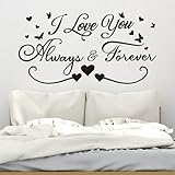 AnFigure Love Quotes Wall Stickers: Inspirational Vinyl Art Couples Wall Decals for Home Bedroom Bathroom Living Room - I Love You Always & Forever 21'X11'