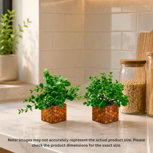 Image of DecoreBugs Artificial Eucalyptus Plant with Plastic Pot (Pack of 2) | 12 cm Height | Mini Potted Plants for Shelf Decor, Home, Office, Living Room, Desk & Table Item Decoration