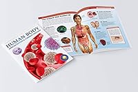 Human Body - Immune System And Common Diseases: Knowledge Encyclopedia For Children 9389931231 Book Cover