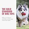 KONG Classic Stuffable Dog Toy - Fetch & Chew Toy for Dogs - Treat-Filling Capabilities & Erratic Bounce for Extended Play Time - Durable Natural Rubber Material - for Extra Small Dogs #2