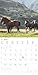 Alpha Edition - Horses 2025 Brochure Calendar, 30 x 30 cm, Wall Calendar with Space for Notes and Appointments, Impressive Motifs of Horses, Monthly Overview and Holiday Dates DE/AT/CH