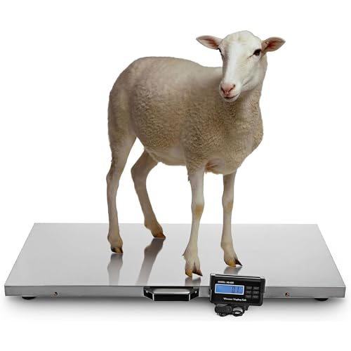 Báscula digital para mascotas de acero inoxidable miniatura 1