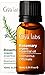 Gya Labs Organic Rosemary Essential Oil (10ml) - Herbaceous & Relaxing Scent