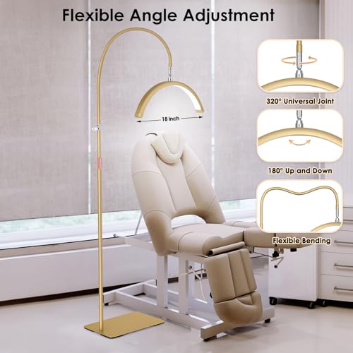 Image of Lash Light, Flexible Half Moon Light with Phone Holder for Eyelash Nail Art Tattoos Skincare, 5 Color Temperatures & Brightness Setting LED Floor Lamp, Height Adjustable Esthetician Lamp