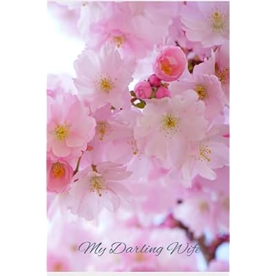 My Darling Wife Journal