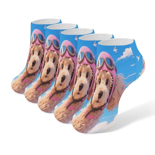 VstaDank Poodle in Sky Ankle Socks 5 Pairs Fashion Invisible Low Cut Sock for Adult Casual Short Sock Soft Cozy No Show Socks
