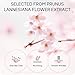 MrCuvaryas Sakura Skincare Set For Teen Girls & Women, 32PCS Face Care Kit With Cherry Blossom Essence, Serum, Cleanser, Lip Mask, Mud Mask & More