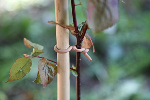Haxnicks Woody Slim Soft Tie Garden Tie | Gentle Plant Support | Reusable Altrnative To Garden Twine | 8m Bown | Tie020101, Brown