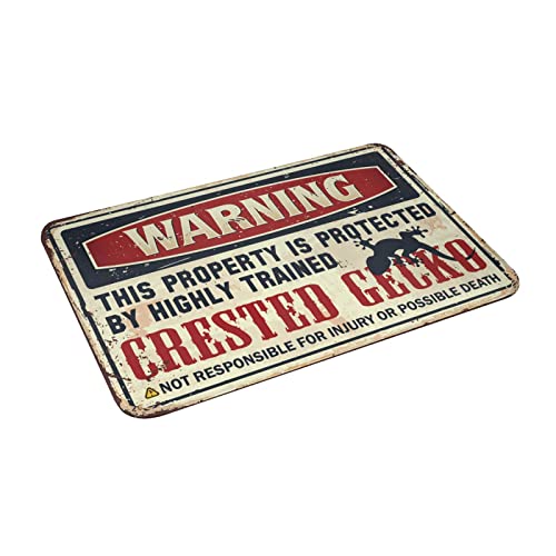 Tapis gecko à crête d'extérieur lavable pour entrée propre - 4