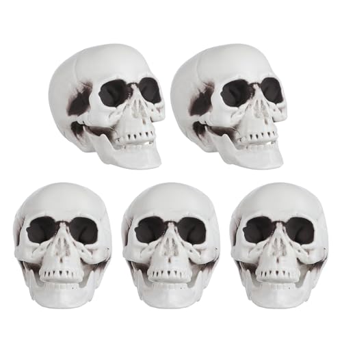 ELAYARD �~�j�?�t�B�M���A 5�� �v���X�`�b�N�����W���͌^ ���^���A���ȓ��W������ �n���E�B���p�[�e�B�[�Ƃ��������~����t���p�����i