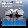 HiFiGo ROSESELSA Aurora Ultra IEM,1 Planar + 1Dynamic Driver in Ear Monitor, Gaming Earbuds, HiFi Wired Earbuds with Metal Outer Cavity, Detachable Cable, Dongle +RZ200m for Musician (Silver)