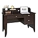 OneSpace Eleanor Executive Desk, Wood-Grain Office Desk with Hutch, Modern Computer Desk, Espresso