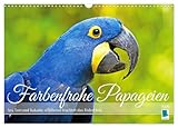 Farbenfrohe Papageien (Wandkalender 2026 DIN A3 quer), CALVENDO Monatskalender: Ara, Lori und Kakadu: schillernd leuchtet das Federkleid