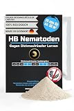 Nematoden gegen Dickmaulrüssler Larven biologische Schädlingsbekämpfung bei Larven und Engerlingen schädlicher Käfer (25 mio für 50m²)