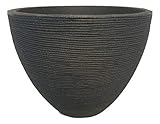 Sesua