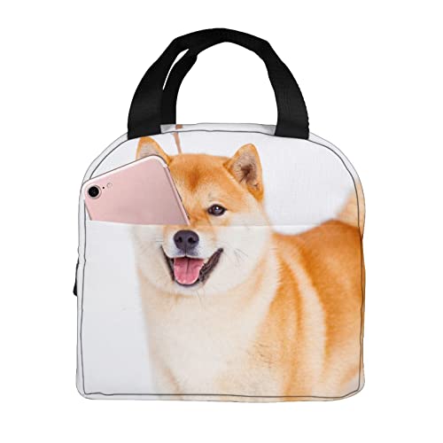 `obO ۗ ۉ  Č ybg ʐ^ L[g ٓobO  |bPgt `{bNX ʋ ʍZ sNjbN Y fB[X w q e ^т₷