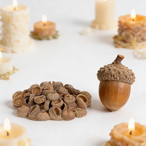 100 unidades de bellotas naturales secas para manualidades miniatura 5