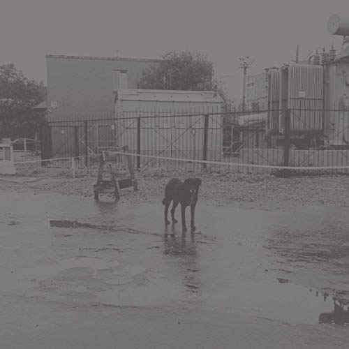 After It's Own Death