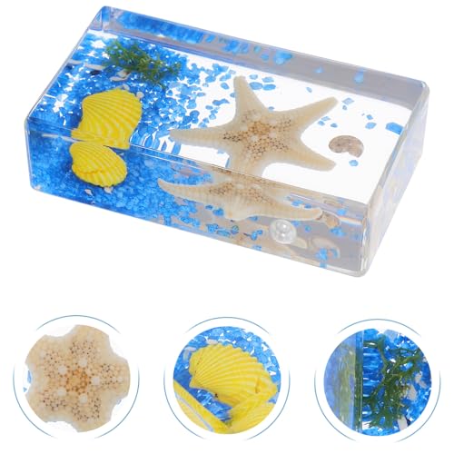 Espécimen educativo de estrella de mar para decoración científica escolar 7