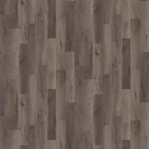 c NbVtA 182cm×310cm _XNI[N ؖڒ ϐ |ȒP HM12071