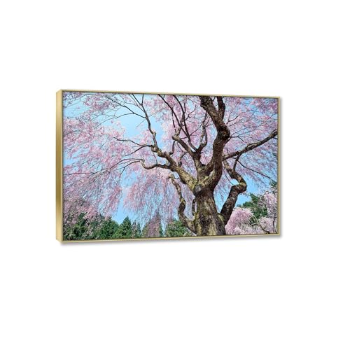 Affiches et impression nature sur toile paysage forêt rose cadre doré 20x30