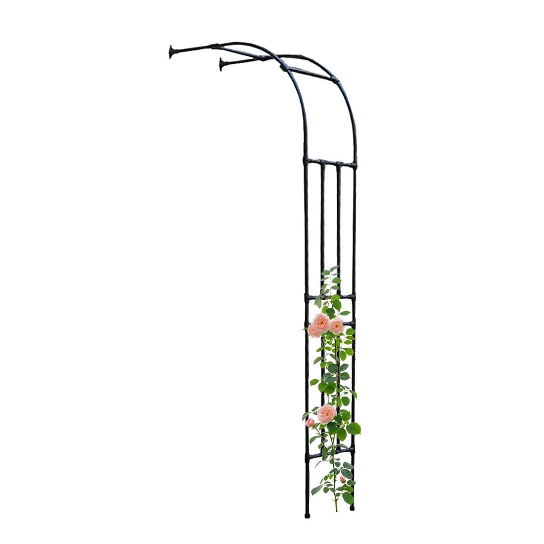 Arco da giardino per parete in metallo, traliccio per rose, altezza 240 cm, robusto, design a mezzo strato, per terrazza, montaggio a parete, nero (H240 x W200 cm)