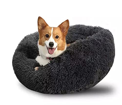 Yourlittlestore - Cama para mascotas para gatos y perros pequeños y medianos con cojín suave redondo u ovalado, cama de cueva para gatos y perros pequeños (4XL, gris oscuro)