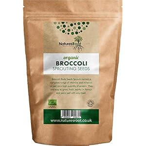 Nature’s Root Bio Broccoli Kiemzaden – Superfood | Niet GMO | Microgreen spruiten (1kg)