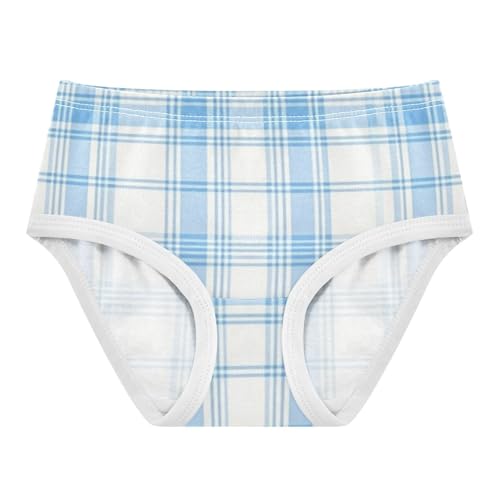 Light Blue Plaid Girls' Underwear Moisture Wicking Comfort Underwear for Girls in Sizes 2T,3T, 4T, 5T, 6Y and 8Y