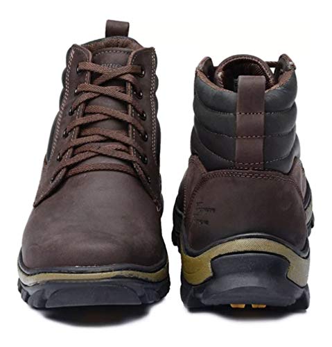 Botina Bota Segurança Trabalho Epi C.a Coturno Laudo Inmetro (42, Café - Picker)