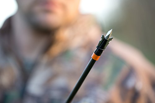 Jak-Knife 125Gr. By Wasp Archery #TOP6